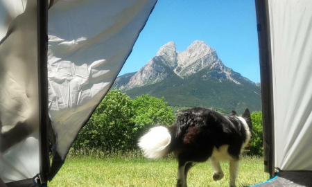 Necesitar Th Insignificante De camping con tu mascota - Camping RepÃ²s del Pedraforca